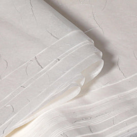 Thai Mulberry paper 25gsm x 10 sheets A4