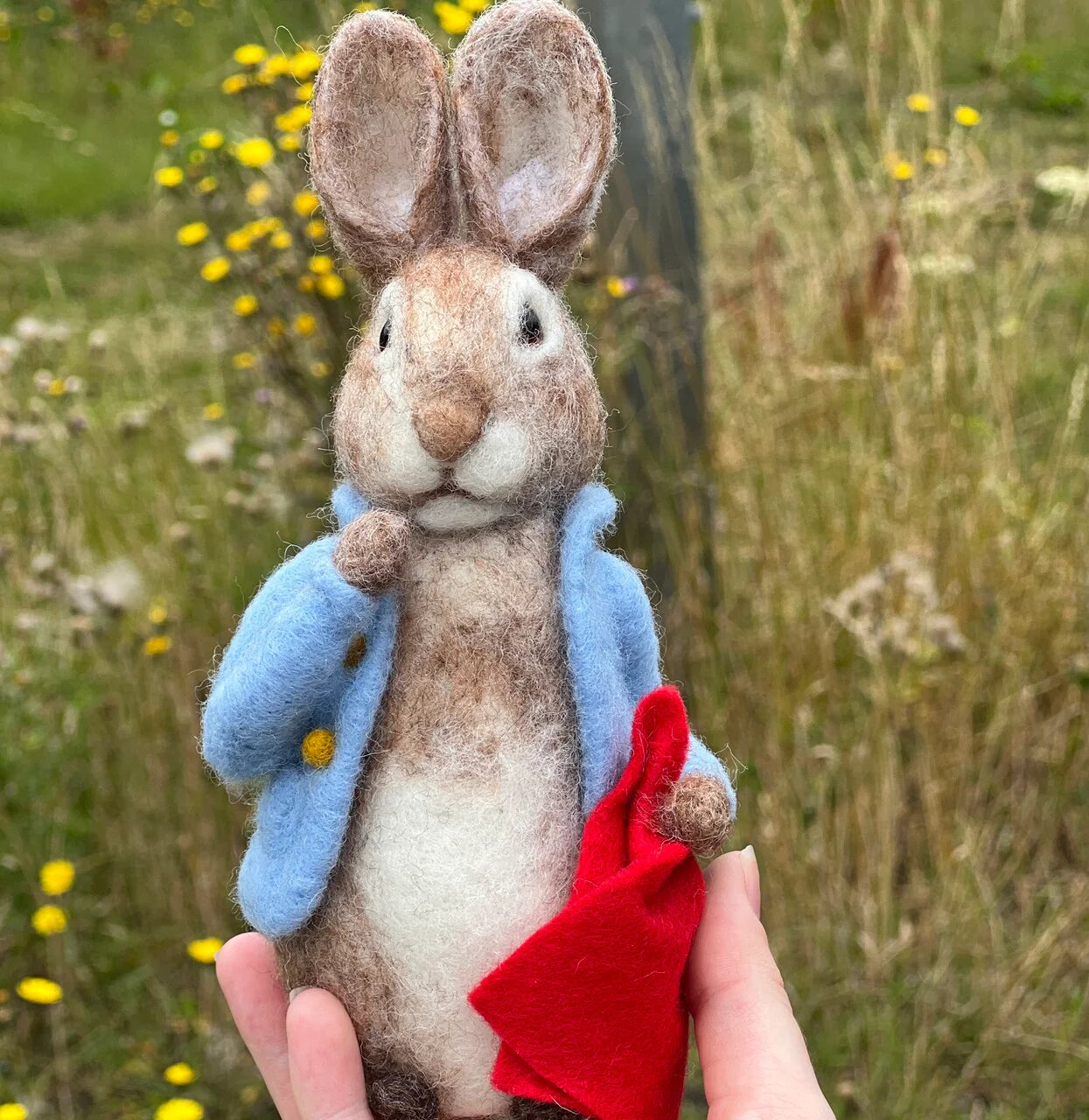 Crafty Kit Company Beatrix Potter Peter Rabbit and his Pocket Handkerchief Needle Felting Craft Kit