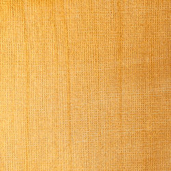 Liquitex Professional Acrylic Ink : Iridescent Bright Gold