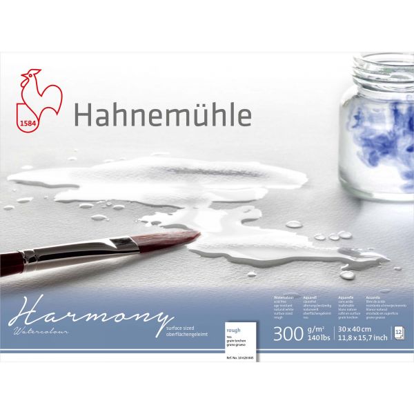 Hahnemühle 'Harmony' Watercolour Rough 300gsm Block 30 x 40cm x 12 sheets