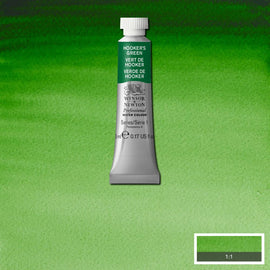 Winsor & Newton Professional Watercolour Paint 5ml : Permanent Sap Green
