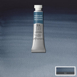 Winsor & Newton Professional Watercolour Paint 5ml : Payne's Gray
