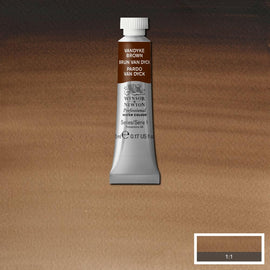 Winsor & Newton Professional Watercolour Paint 5ml : Vandyke Brown