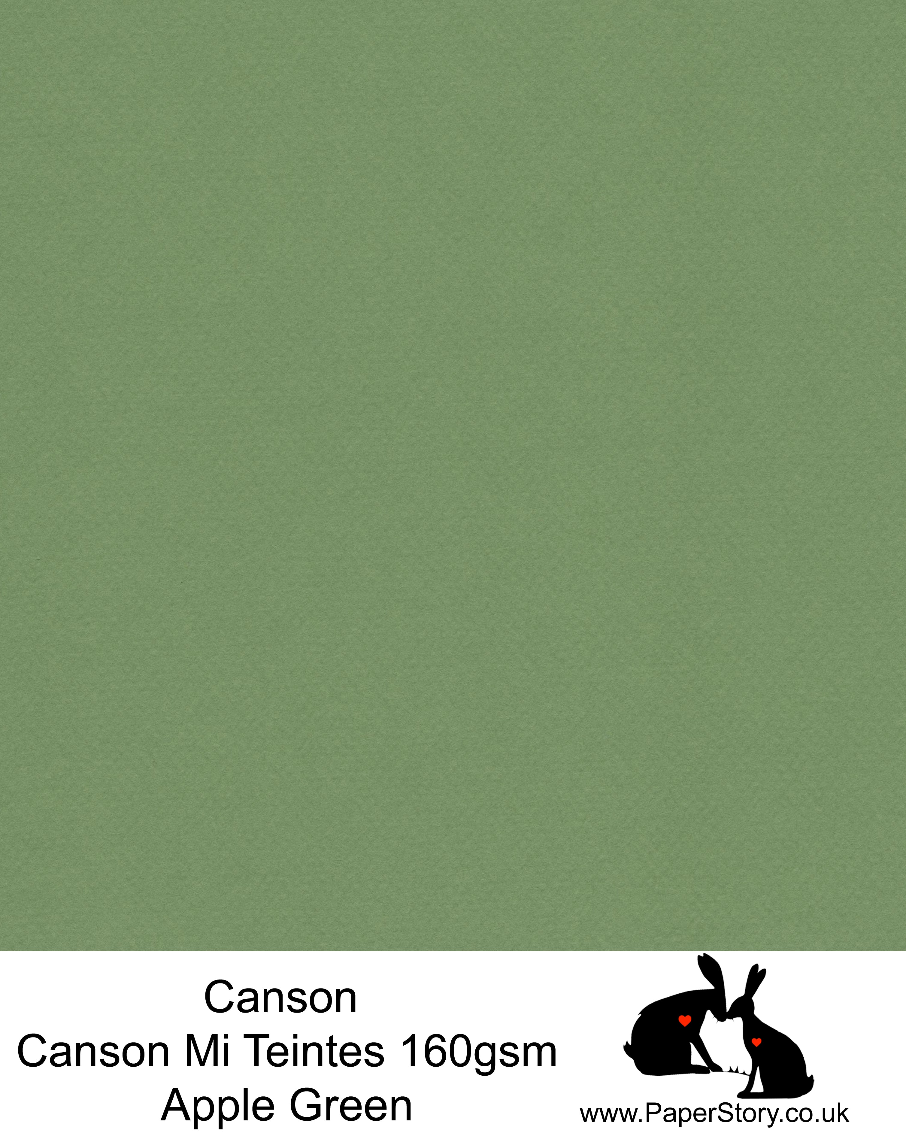 Canson Mi Teintes acid free, Champagne, fresh apple green hammered texture honeycomb surface paper 160 gsm. This is a popular and classic paper for all artists especially well respected for Pastel  and Papercutting made famous by Paper Panda. This paper has a honeycombed finish one side and fine grain the other. An authentic art paper, acid free with a  very high 50% cotton content. Canson Mi-Teintes complies with the ISO 9706 standard on permanence, a guarantee of excellent conservation 