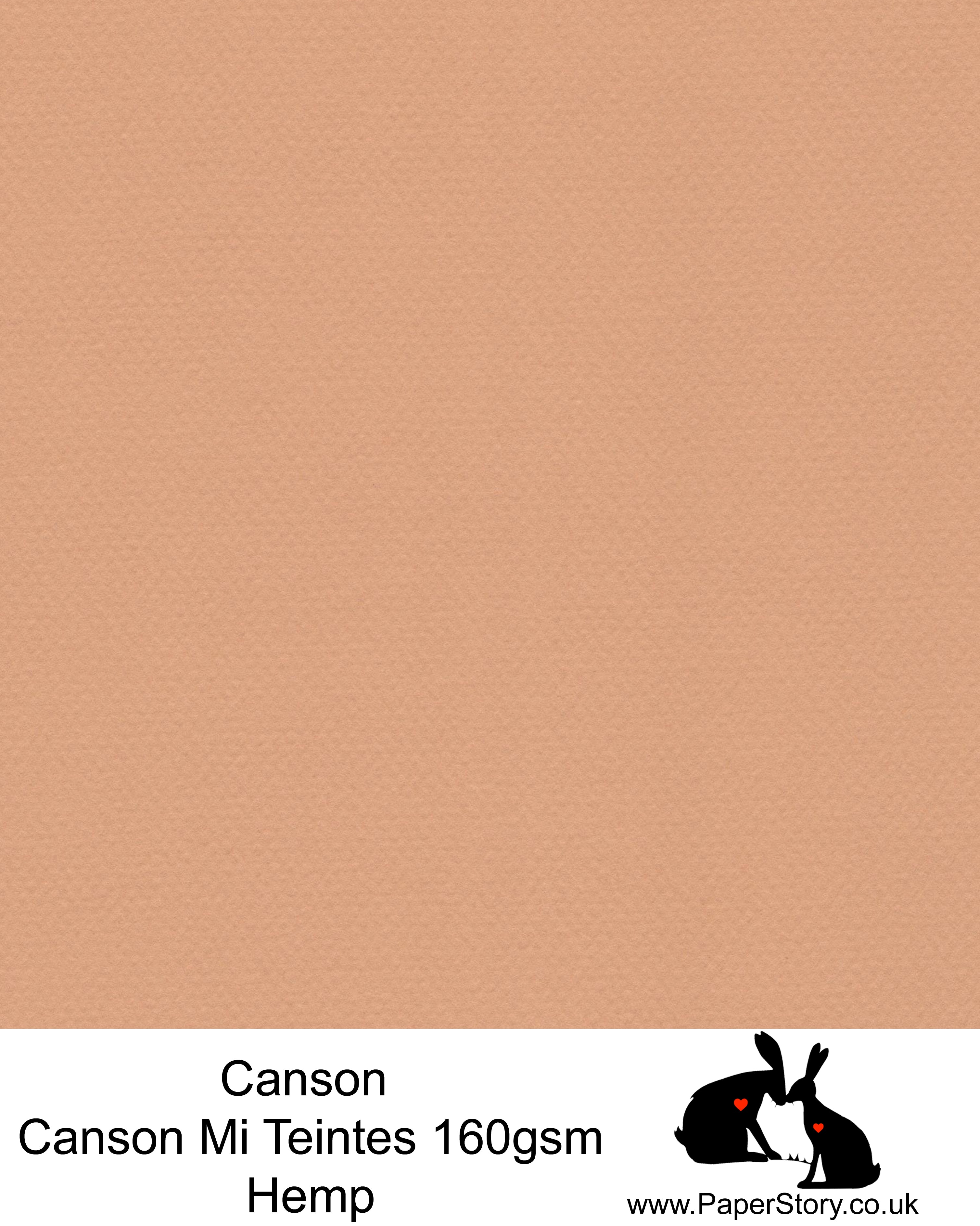 Canson Mi Teintes acid free, Hemp warm brown, hammered texture honeycomb surface paper 160 gsm. This is a popular and classic paper for all artists especially well respected for Pastel  and Papercutting made famous by Paper Panda. This paper has a honeycombed finish one side and fine grain the other. An authentic art paper, acid free with a  very high 50% cotton content. Canson Mi-Teintes complies with the ISO 9706 standard on permanence, a guarantee of excellent conservation  