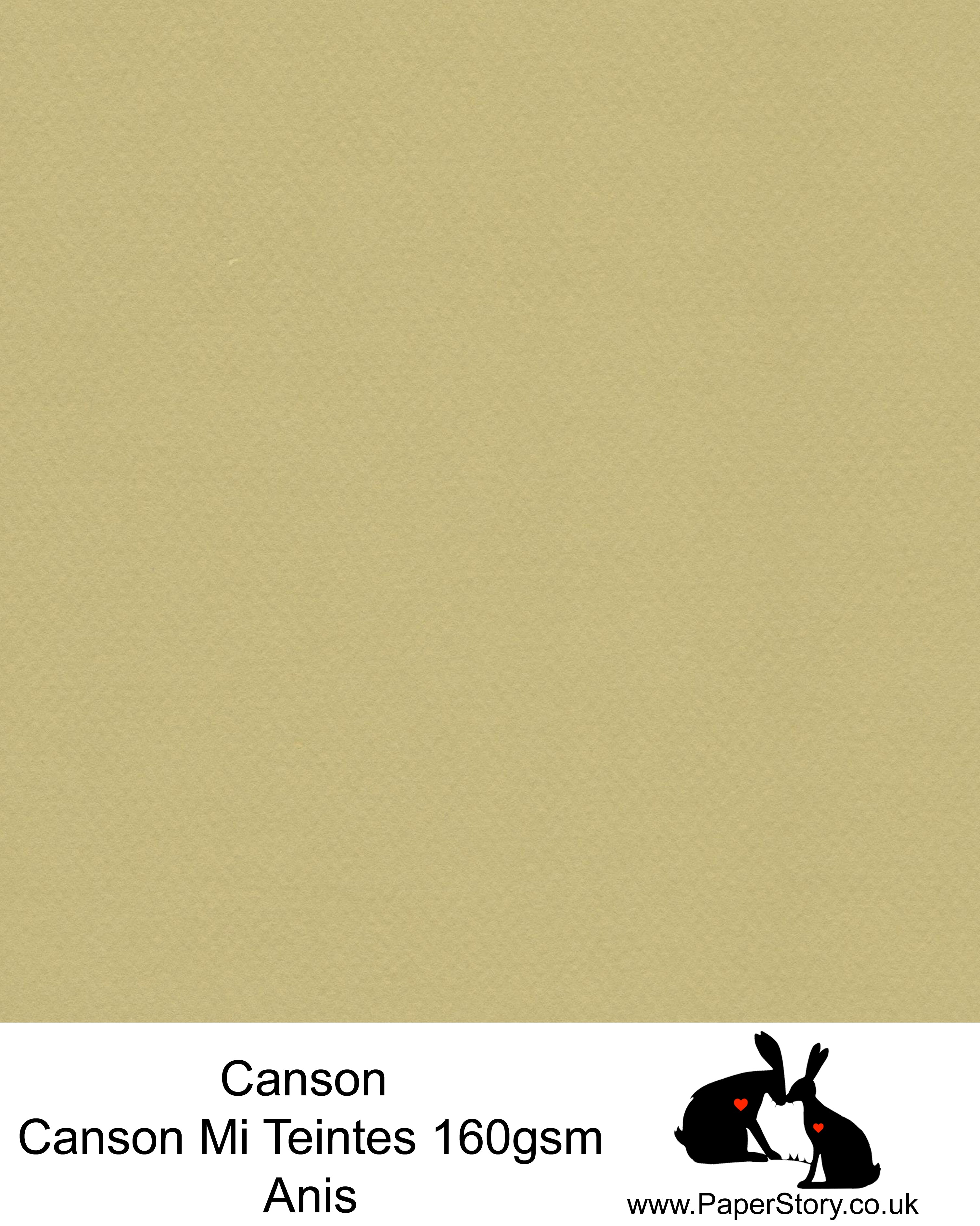 Canson Mi Teintes acid free, Anis pastel green, hammered texture honeycomb surface paper 160 gsm. This is a popular and classic paper for all artists especially well respected for Pastel  and Papercutting made famous by Paper Panda. This paper has a honeycombed finish one side and fine grain the other. An authentic art paper, acid free with a  very high 50% cotton content. Canson Mi-Teintes complies with the ISO 9706 standard on permanence, a guarantee of excellent conservation  