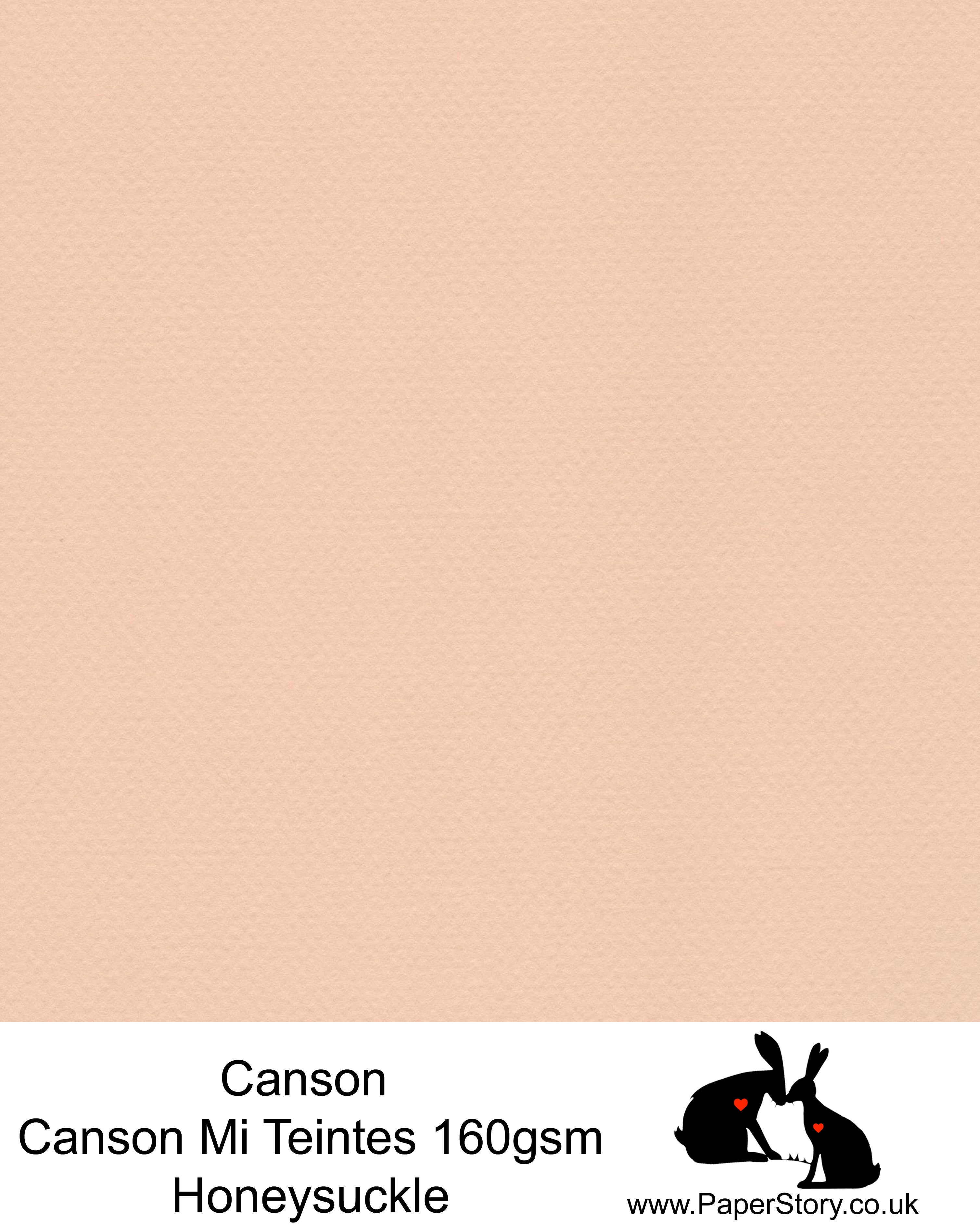 Canson Mi Teintes acid free, Honeysuckle warm pink, hammered texture honeycomb surface paper 160 gsm. This is a popular and classic paper for all artists especially well respected for Pastel  and Papercutting made famous by Paper Panda. This paper has a honeycombed finish one side and fine grain the other. An authentic art paper, acid free with a  very high 50% cotton content. Canson Mi-Teintes complies with the ISO 9706 standard on permanence, a guarantee of excellent conservation  