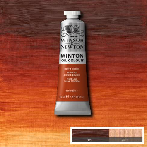 Winsor & Newton Oil : Winton 37ml : Burnt Sienna