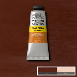 Winsor & Newton Galeria Acrylic Burnt Sienna : 60 ml