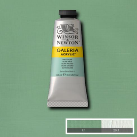 Winsor & Newton Galeria Acrylic Pale Olive : 60ml