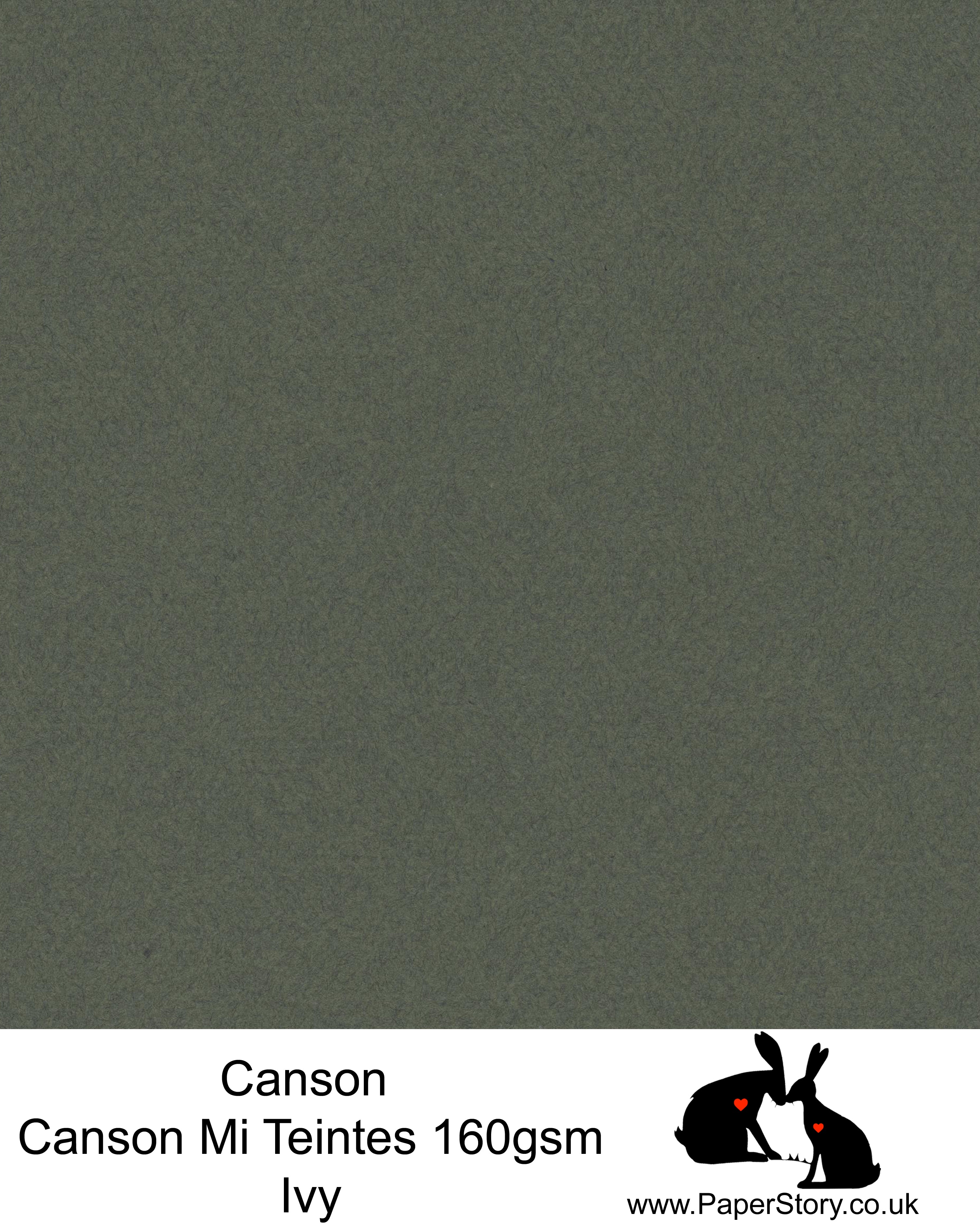 Canson Mi Teintes acid free, Ivy green, hammered texture honeycomb surface paper 160 gsm. This is a popular and classic paper for all artists especially well respected for Pastel  and Papercutting made famous by Paper Panda. This paper has a honeycombed finish one side and fine grain the other. An authentic art paper, acid free with a  very high 50% cotton content. Canson Mi-Teintes complies with the ISO 9706 standard on permanence, a guarantee of excellent conservation  