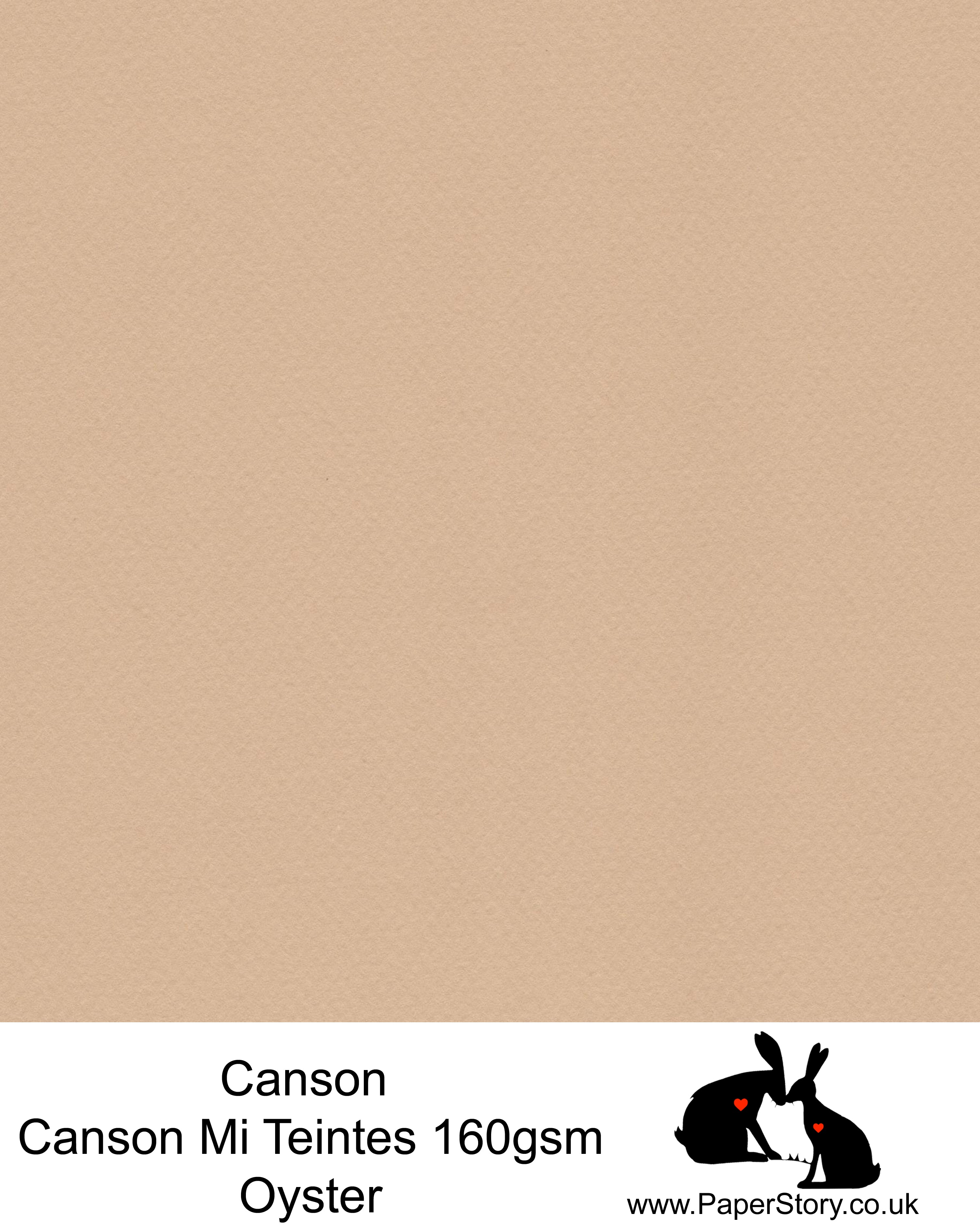 Canson Mi Teintes acid free, Oyster warm beige, hammered texture honeycomb surface paper 160 gsm. This is a popular and classic paper for all artists especially well respected for Pastel  and Papercutting made famous by Paper Panda. This paper has a honeycombed finish one side and fine grain the other. An authentic art paper, acid free with a  very high 50% cotton content. Canson Mi-Teintes complies with the ISO 9706 standard on permanence, a guarantee of excellent conservation  