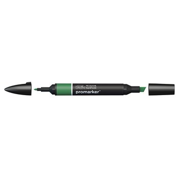 Winsor & Newton Promarker alcohol pen, perfect for fine artists and illustrators. New design pens with a double end, each pen has a fine bullet point and a broad chisel nib, which allows you to easily switch between shading larger areas and precision detailing. Superb alcohol-based streak-free coverage so you can achieve flawless, print-like results.  pine green