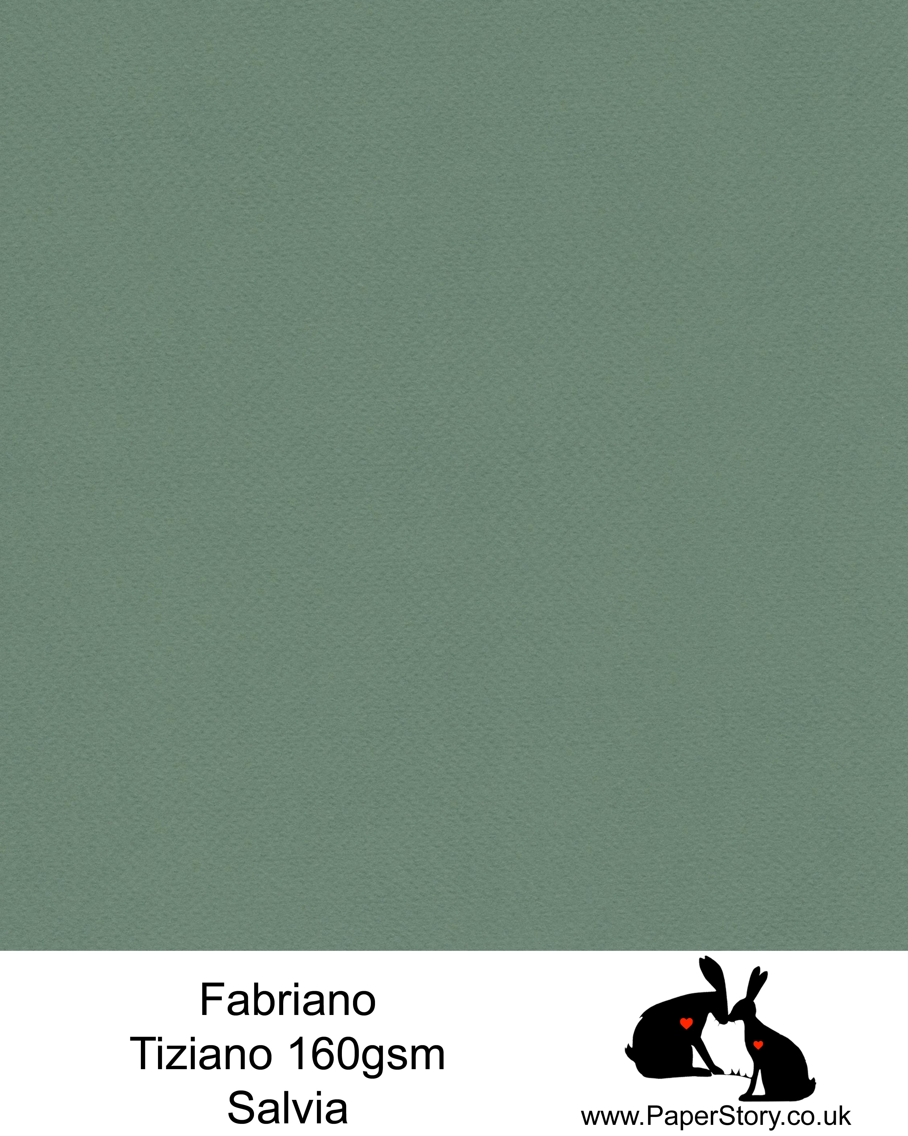 High quality paper from Italy, Salvia Green Fabriano Tiziano is 160 gsm, Tiziano has a high cotton content, a textured naturally sized surface. This paper is acid free to guarantee long permanence in time, pH neutral.