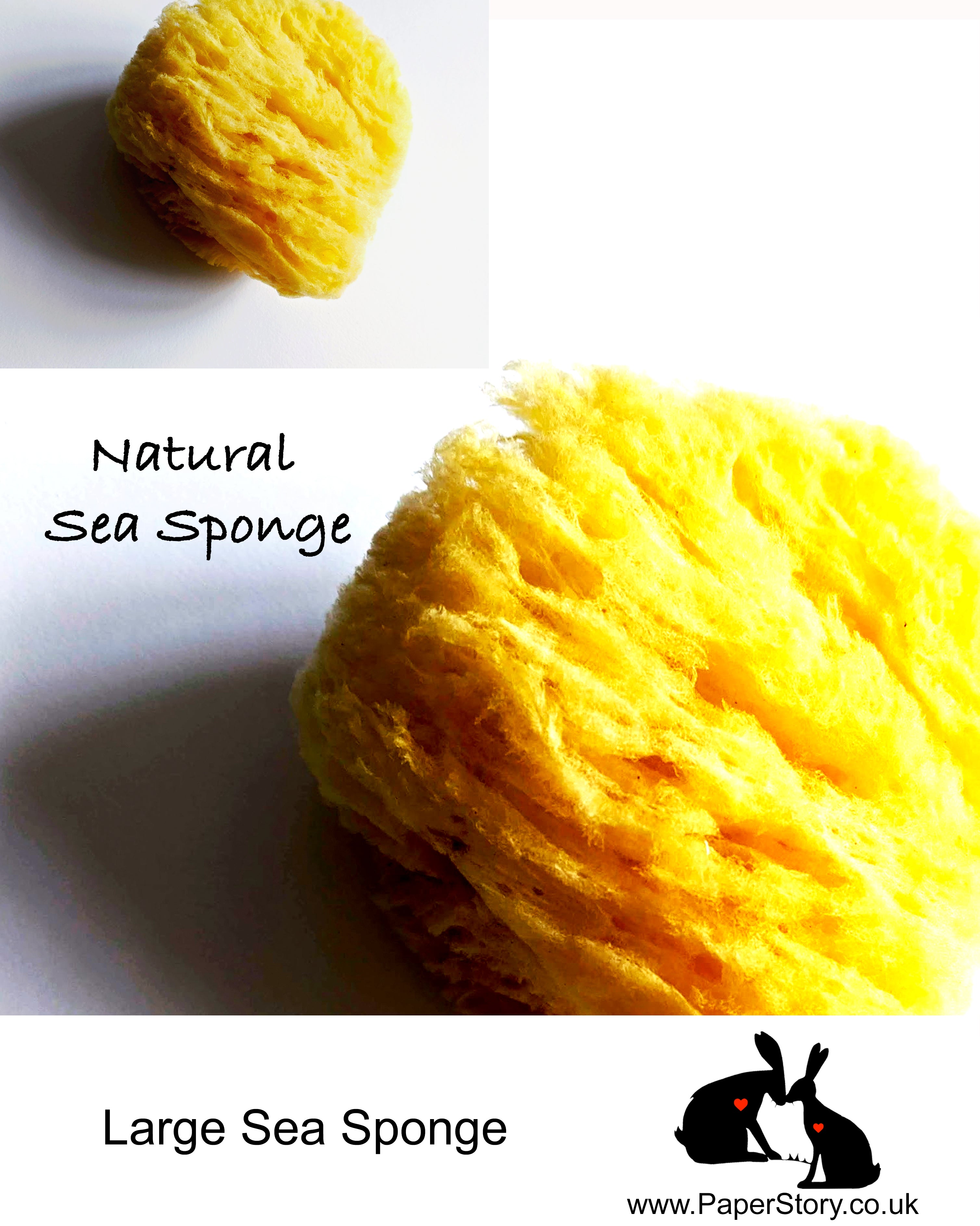Large textured natural sea sponge, each sponge is unique and measures approximately4 - 4.5 inches. The Sea Sponge is a renewable natural resource, the irregular shapes of each unique sponge are used by artists for creating effects as well as wetting the surface of paper.   Care for your sponge, by rinsing in clean water before use, squeeze to remove water, do not wring. Wash in cool water and allow to dry naturally. 