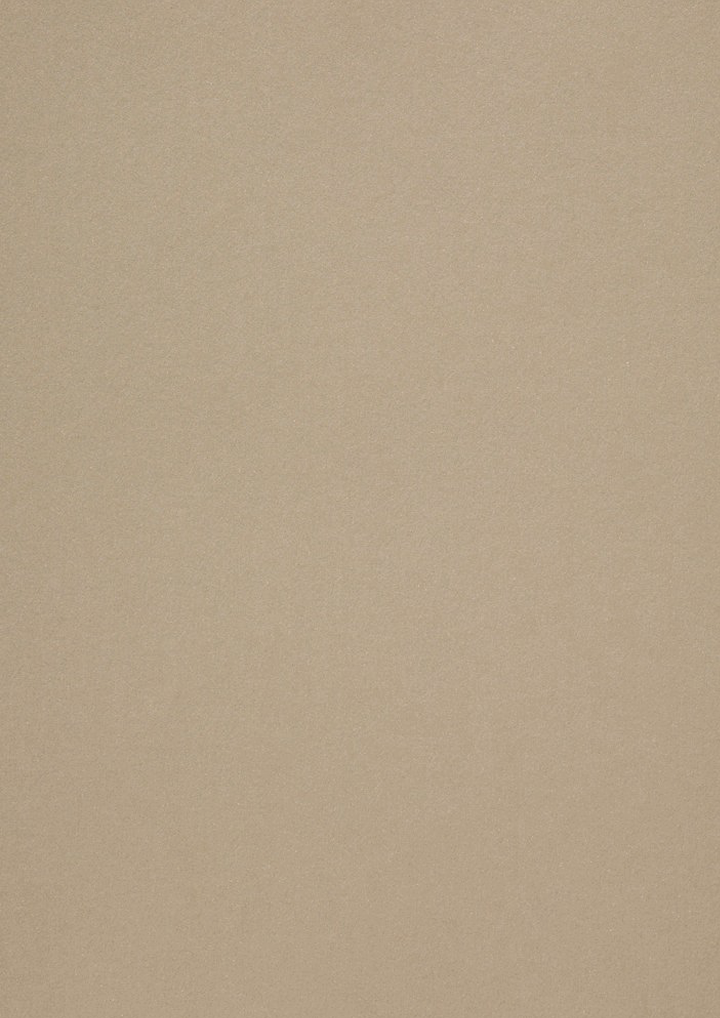 Pearlescent Taupe 115 gsm paper