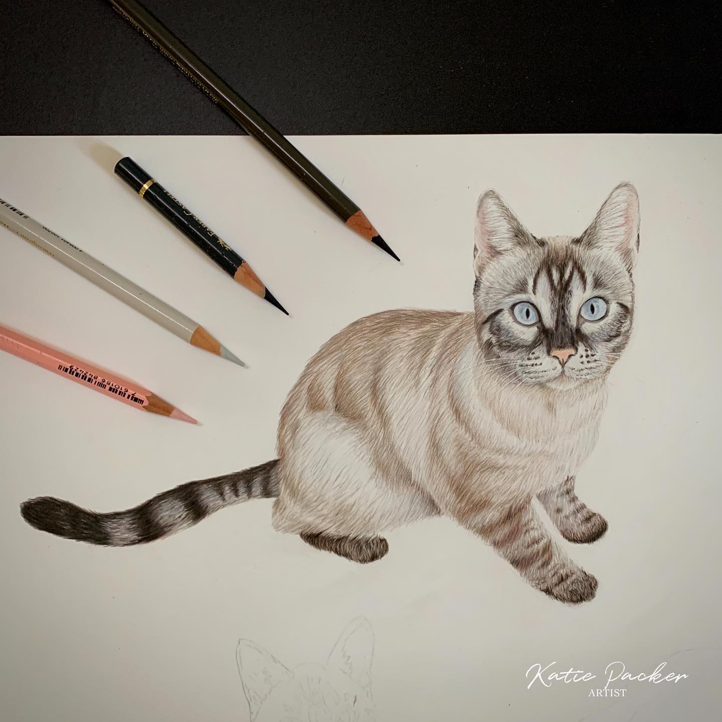 Hints & Tips on drawing with Katie Packer using Polychromos Artist Pencils