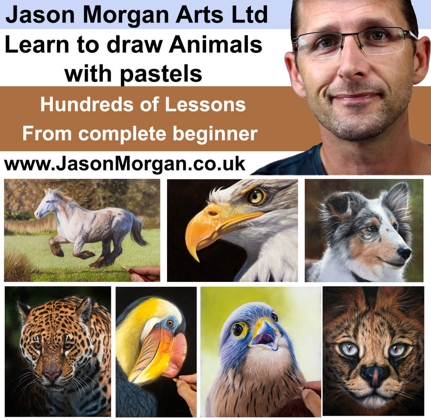 Jason Morgan Pastel Artist