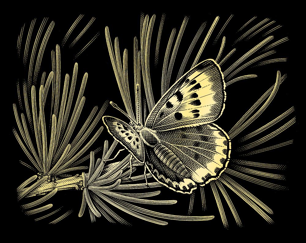 Gold Leaf