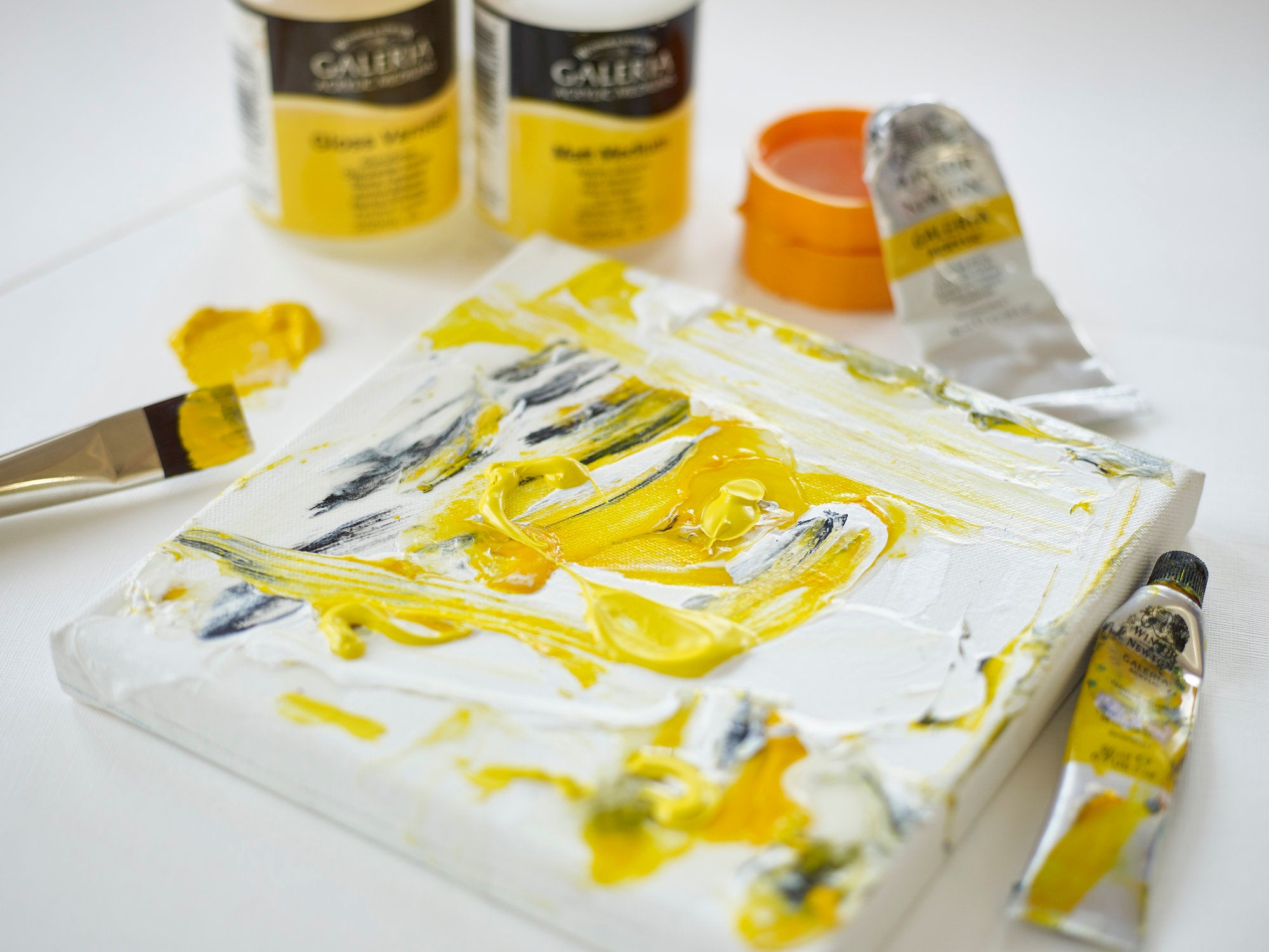Winsor & Newton Galeria Acrylic Mediums