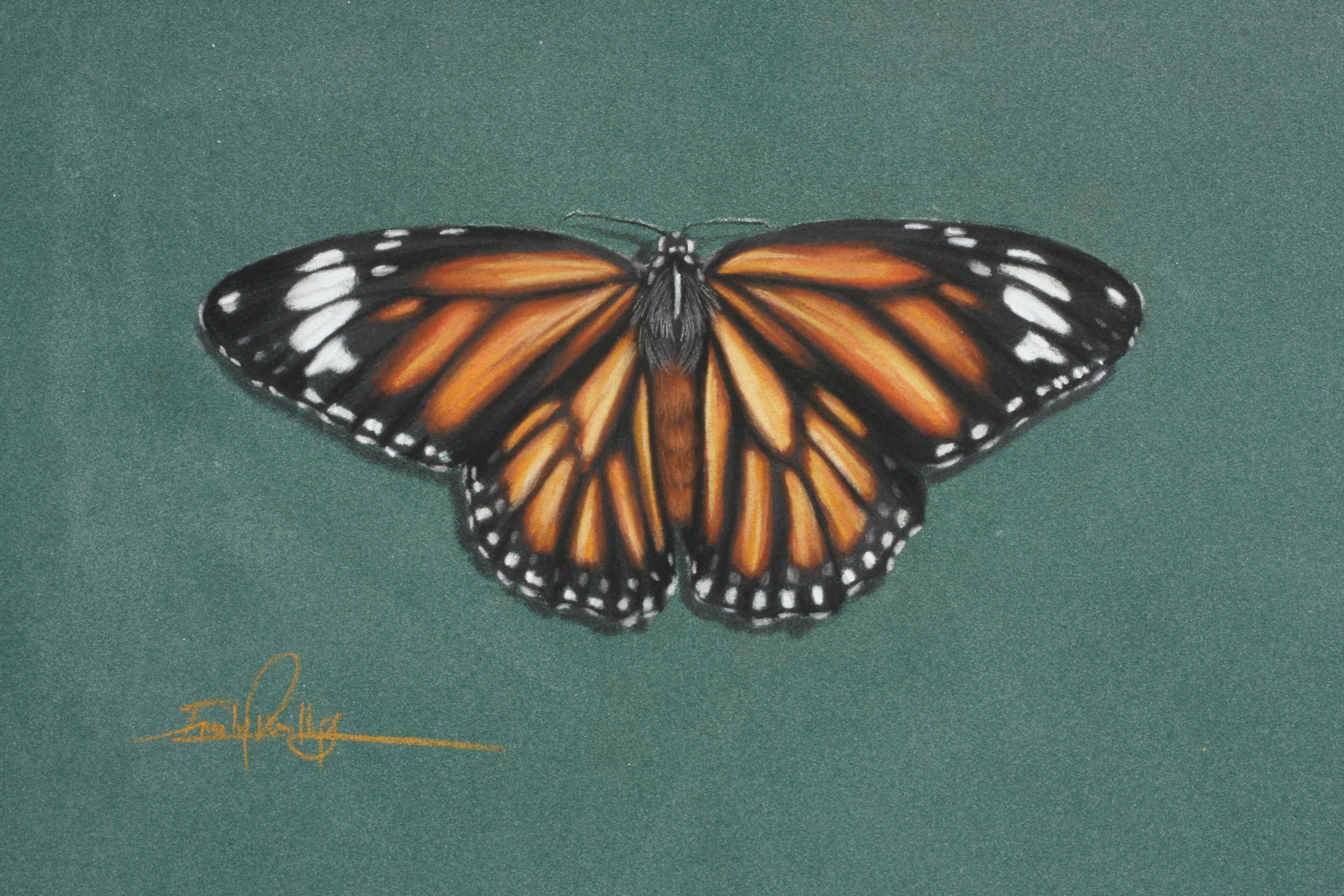 Emily Rose Free Art Tutorials