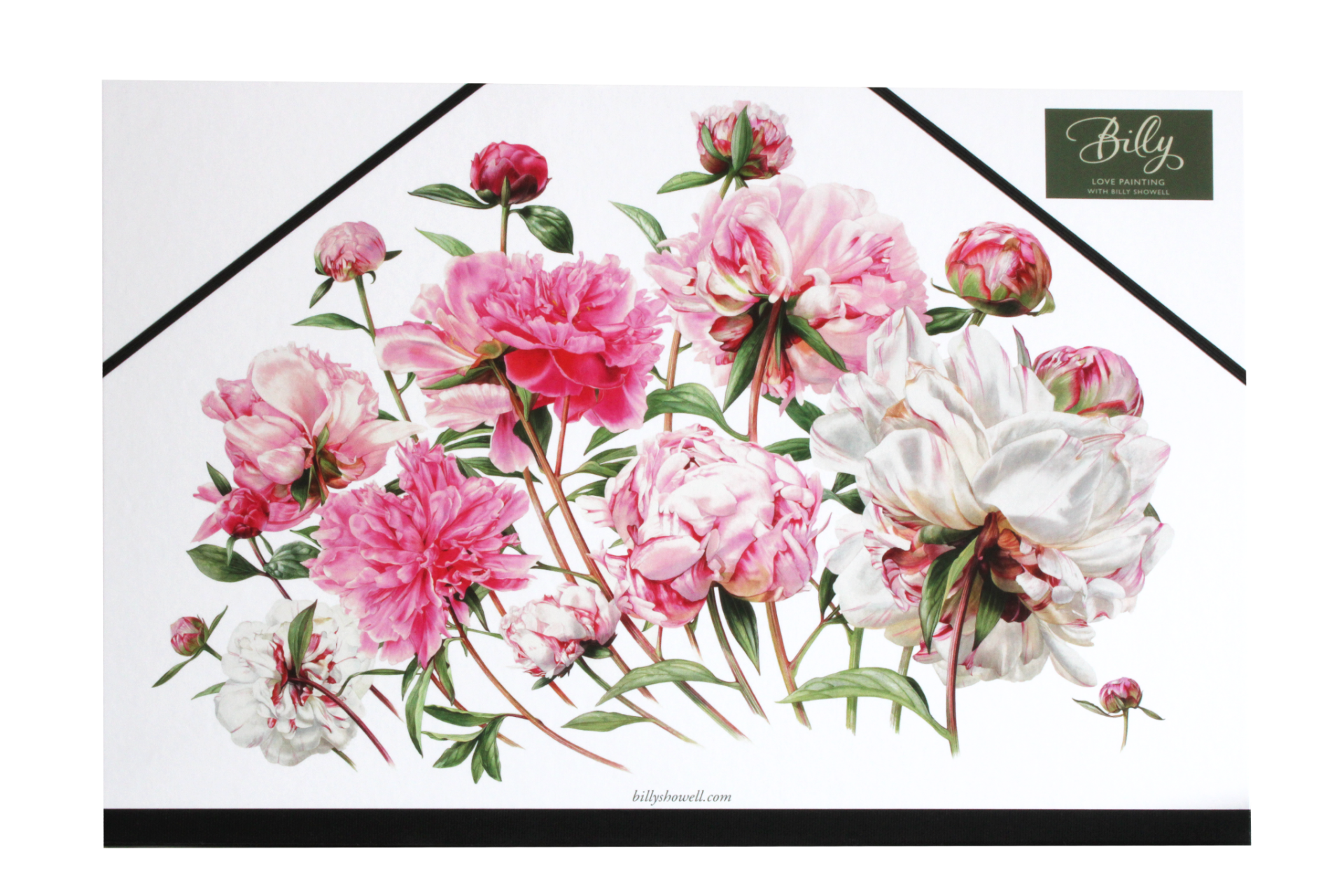 Billy Showell Synthetic Watercolour Brushes
