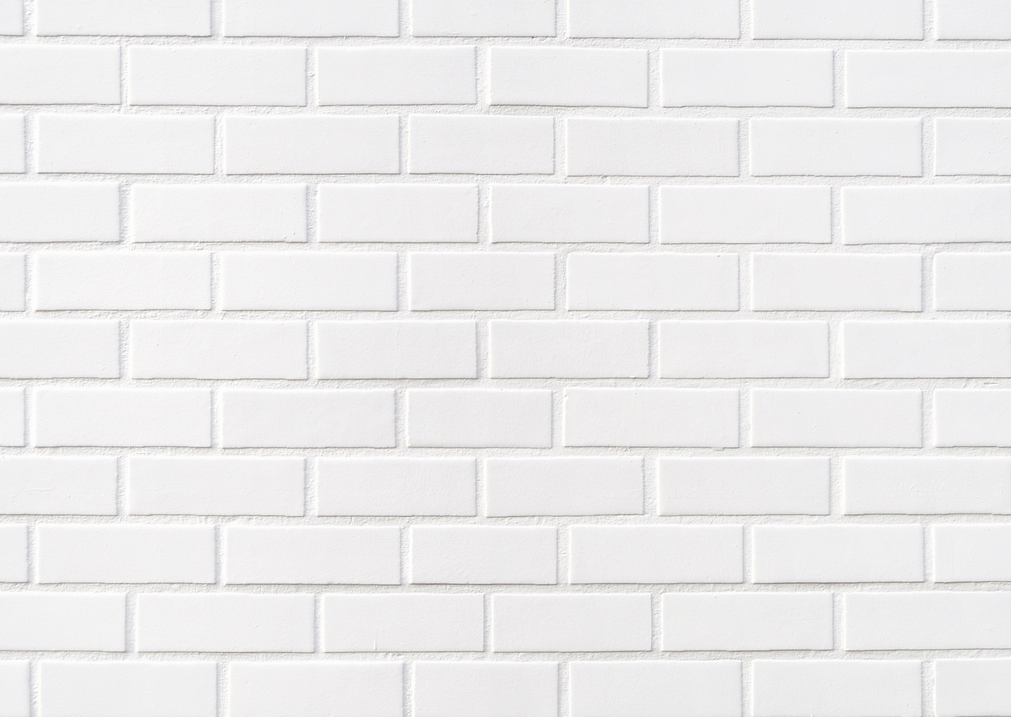 Special Offer Coliro Pearlcolours