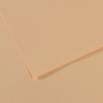 Canson Mi-Teintes A4 Pastel Paper 160gsm – Honeysuckle No. 350 – Discontinued