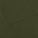 Canson Mi-Teintes A4 Pastel Paper 160gsm – Ivy No. 448