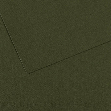 Canson Mi-Teintes A4 Pastel Paper 160gsm – Ivy No. 448