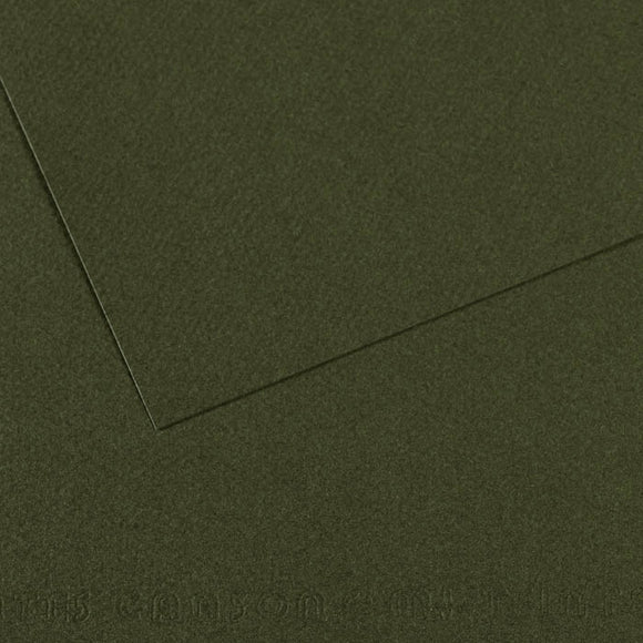 Canson Mi-Teintes A4 Pastel Paper 160gsm – Ivy No. 448