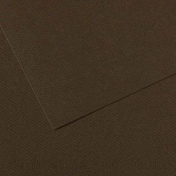 Canson Mi-Teintes A4 Pastel Paper 160gsm – Tobacco No. 501