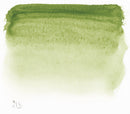 Sennelier L'Aquarelle Watercolour Paint Half Pan - Green Earth-2