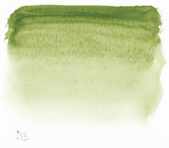 Sennelier L'Aquarelle Watercolour Paint Half Pan - Green Earth