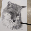 Matt graphite drawing by Angela Park Pitt