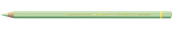 Caran d'Ache Pablo Artist Pencil 0666-221 Light Green