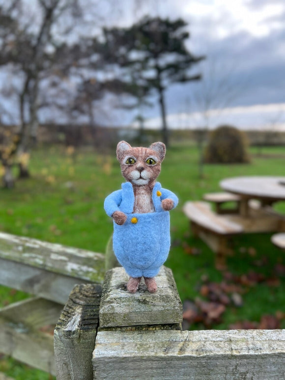 Crafty Kit Company Beatrix Potter Beatrix Potter - Beatrix Potter - Tom Kitten Needle Felting Kit