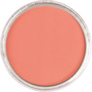 Vermilion Medium Shade PanPastel Artist Pastel 310.6