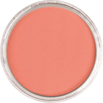 Vermilion Medium Shade PanPastel Artist Pastel 310.6