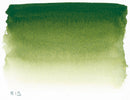 Sennelier L'Aquarelle Watercolour Paint Half Pan - Sap Green-2