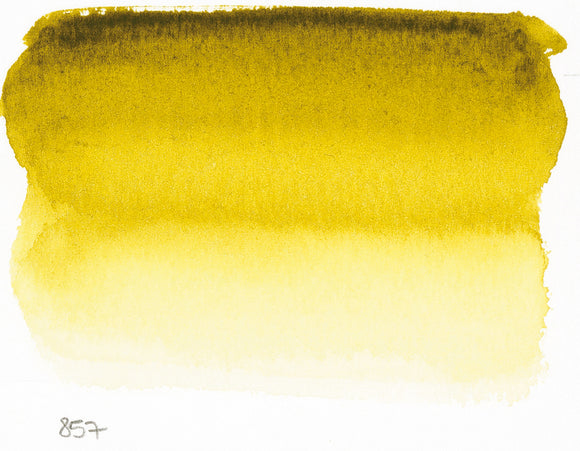 Sennelier L'Aquarelle Watercolour Paint Half Pan - Brown Green