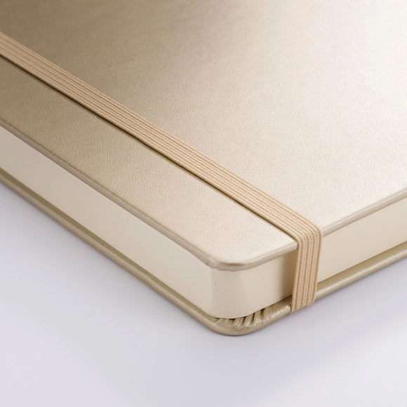 soft white pages of a royal talens book, with a gold cover