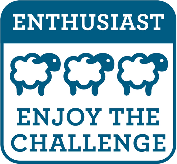 The Crafty Kit Company Giraffe Needle Felting Craft Kit