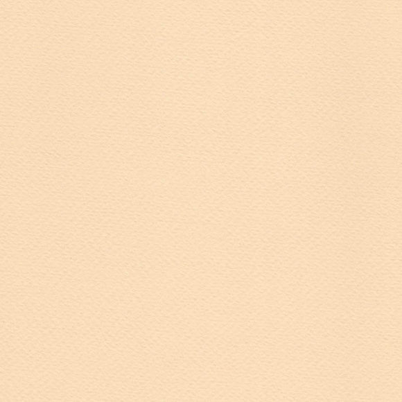 A4 Fabriano Tiziano Pastel Paper 160gsm - Banana Cream No. 03