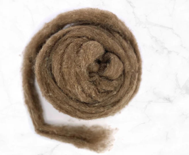 Carded Shetland British Wool Sliver Colour Moorit Brown