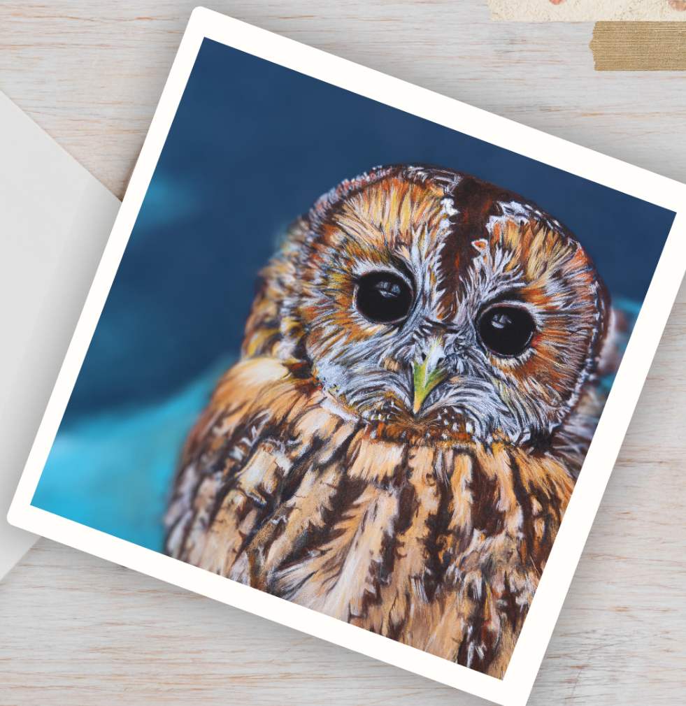 Tawny owl Pastel Painting Print Greetings Card & Envelope