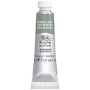 Winsor & Newton Professional Watercolour Paint 5ml - Mineral Grey