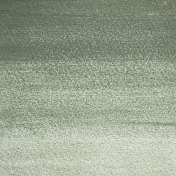 Winsor & Newton Professional Watercolour Paint 5ml - Mineral Grey