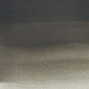 Winsor & Newton Professional Watercolour Paint 5ml - Ostwald Grey