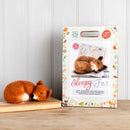 The Crafty Kit Company Sleepy Fox Needle Felting Craft Kit